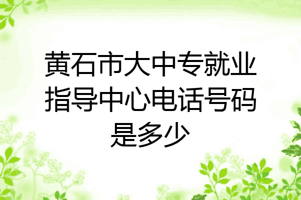 黄石市大中专就业指导中心电话号码是多少