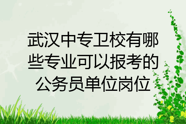 武汉中专卫校有哪些专业可以报考的公务员单位岗位