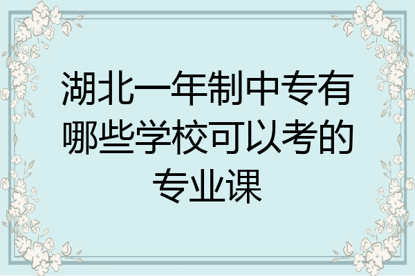 湖北一年制中专有哪些学校可以考的专业课