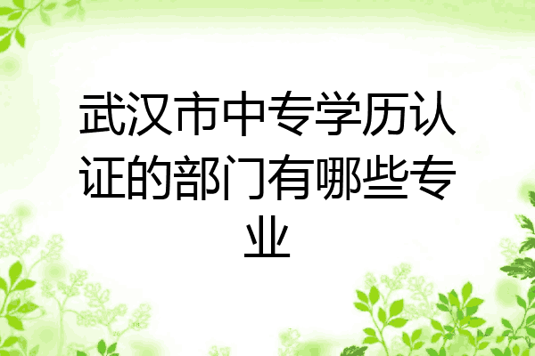 武汉市中专学历认证的部门有哪些专业