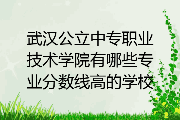 武汉公立中专职业技术学院有哪些专业分数线高的学校