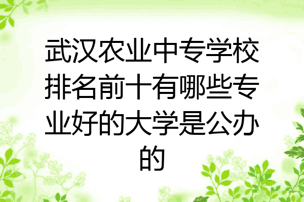 武汉农业中专学校排名前十有哪些专业好的大学是公办的