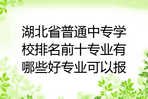 湖北省普通中专学校排名前十专业有哪些好专业可以报