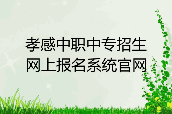 孝感中职中专招生网上报名系统官网