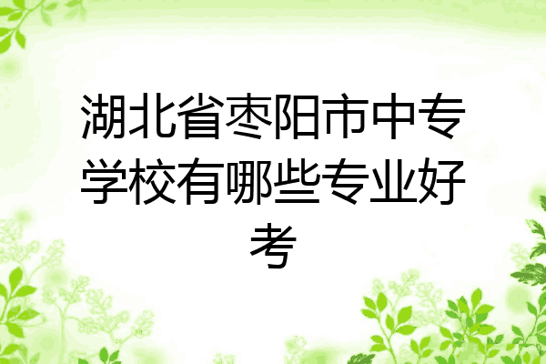 湖北省枣阳市中专学校有哪些专业好考