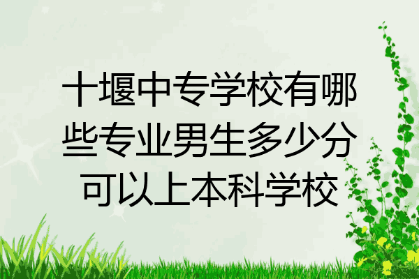 十堰中专学校有哪些专业男生多少分可以上本科学校