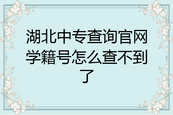 湖北中专查询官网学籍号怎么查不到了