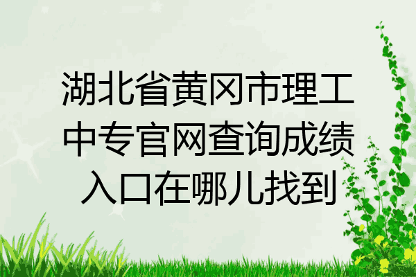 湖北省黄冈市理工中专官网查询成绩入口在哪儿找到