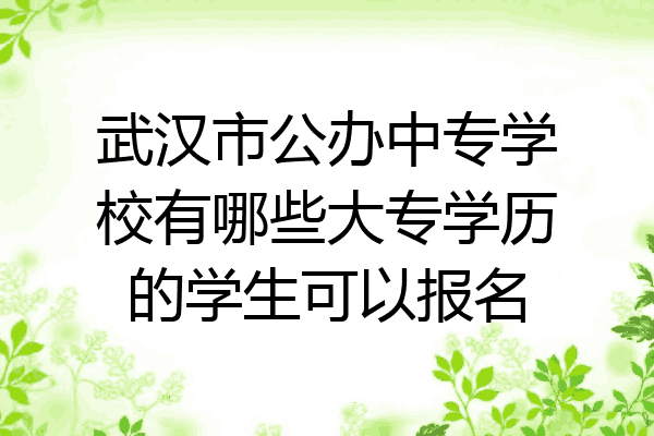 武汉市公办中专学校有哪些大专学历的学生可以报名