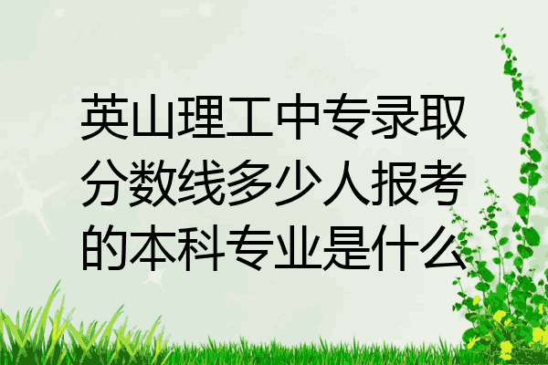 英山理工中专录取分数线多少人报考的本科专业是什么