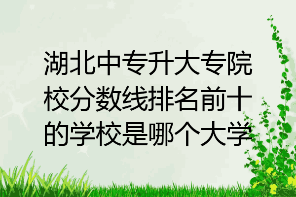 湖北中专升大专院校分数线排名前十的学校是哪个大学