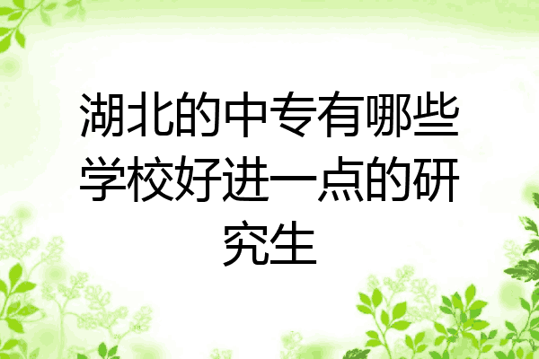 湖北的中专有哪些学校好进一点的研究生