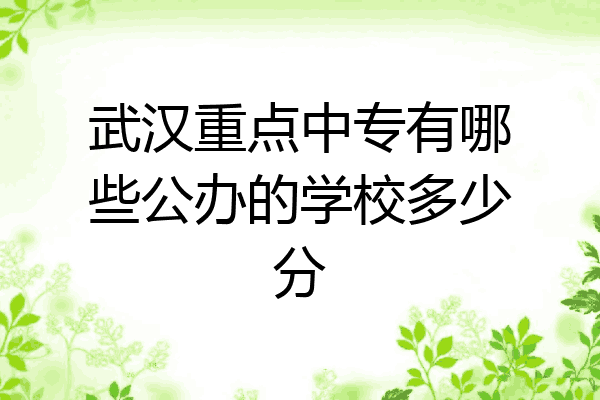 武汉重点中专有哪些公办的学校多少分