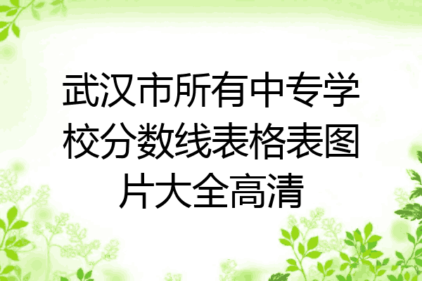武汉市所有中专学校分数线表格表图片大全高清