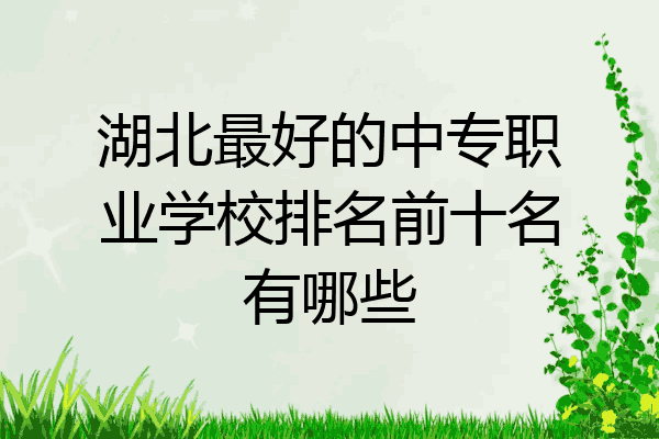 湖北最好的中专职业学校排名前十名有哪些