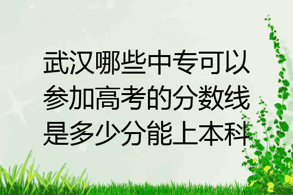武汉哪些中专可以参加高考的分数线是多少分能上本科