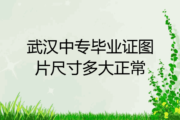 武汉中专毕业证图片尺寸多大正常