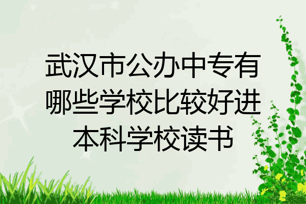 武汉市公办中专有哪些学校比较好进本科学校读书