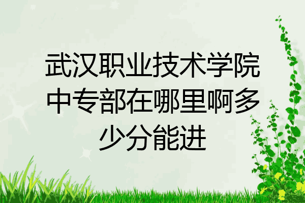 武汉职业技术学院中专部在哪里啊多少分能进