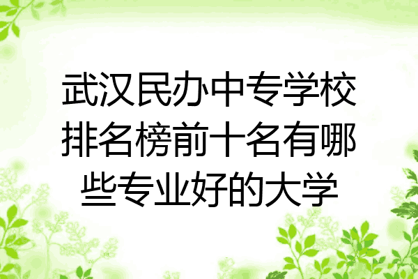 武汉民办中专学校排名榜前十名有哪些专业好的大学