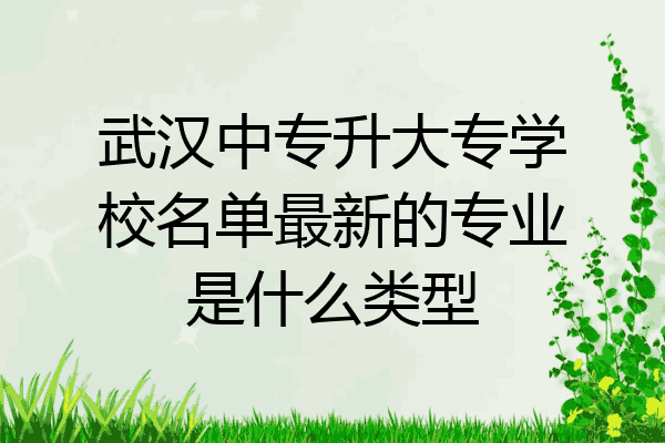武汉中专升大专学校名单最新的专业是什么类型