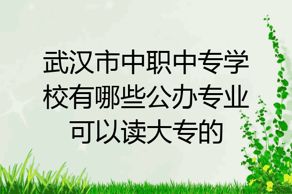 武汉市中职中专学校有哪些公办专业可以读大专的