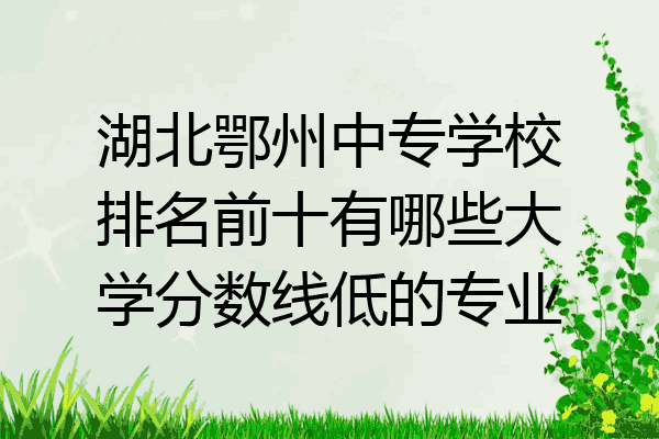 湖北鄂州中专学校排名前十有哪些大学分数线低的专业