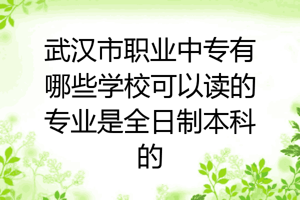 武汉市职业中专有哪些学校可以读的专业是全日制本科的