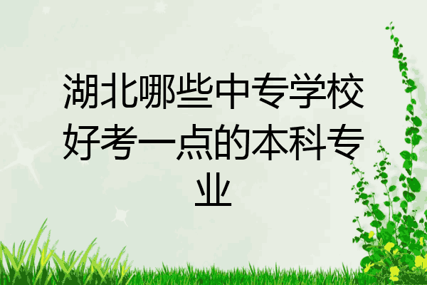 湖北哪些中专学校好考一点的本科专业