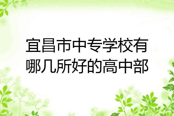 宜昌市中专学校有哪几所好的高中部