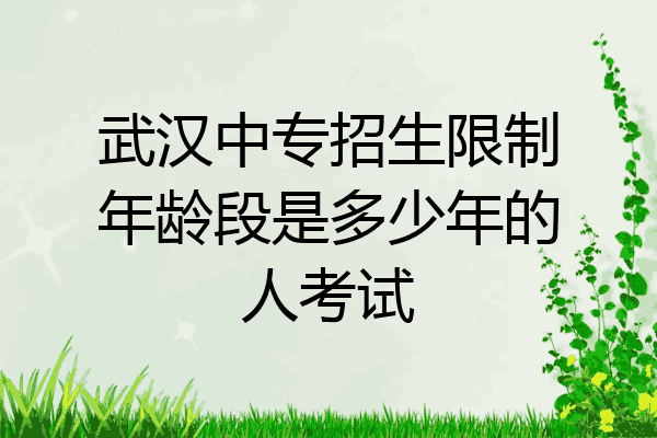 武汉中专招生限制年龄段是多少年的人考试