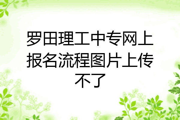 罗田理工中专网上报名流程图片上传不了