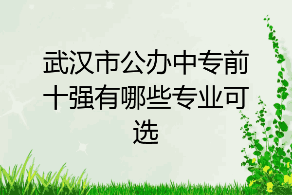 武汉市公办中专前十强有哪些专业可选