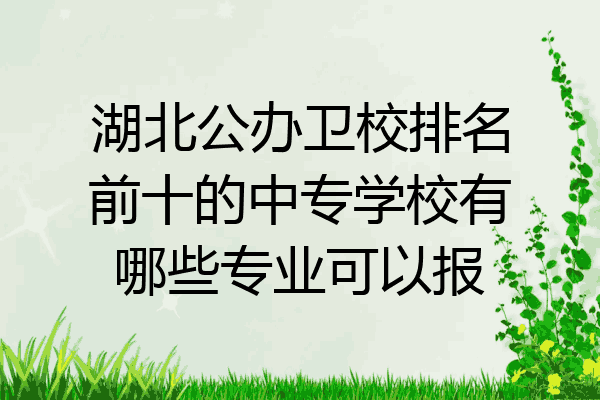 湖北公办卫校排名前十的中专学校有哪些专业可以报