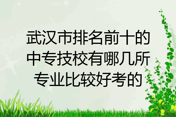 武汉市排名前十的中专技校有哪几所专业比较好考的