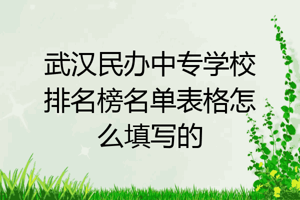 武汉民办中专学校排名榜名单表格怎么填写的