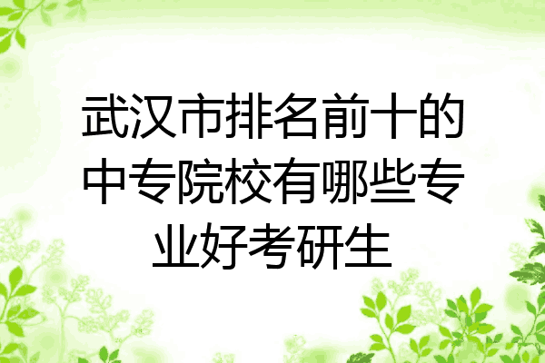 武汉市排名前十的中专院校有哪些专业好考研生