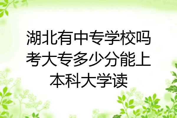 湖北有中专学校吗考大专多少分能上本科大学读