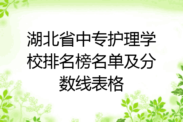 湖北省中专护理学校排名榜名单及分数线表格