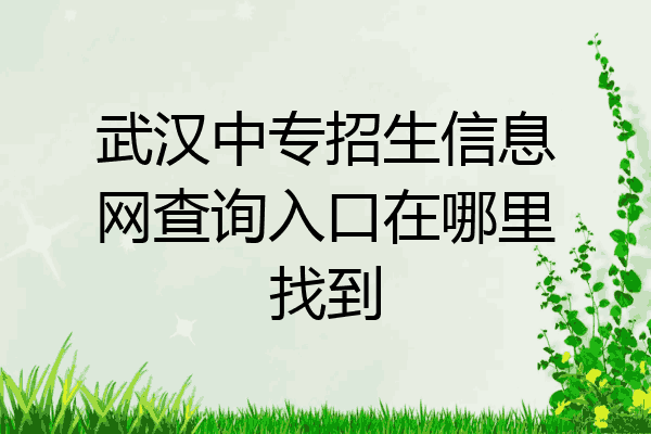 武汉中专招生信息网查询入口在哪里找到