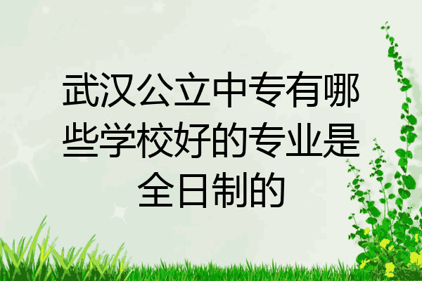 武汉公立中专有哪些学校好的专业是全日制的