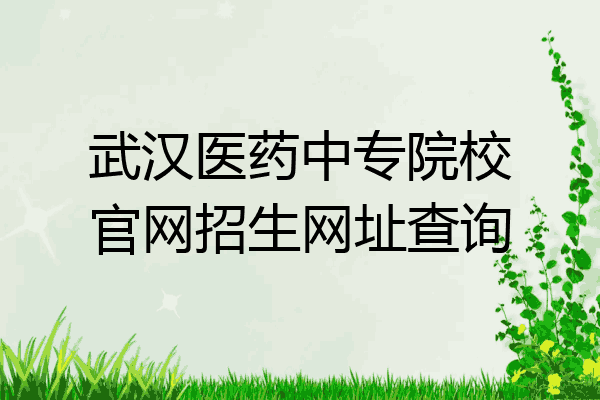 武汉医药中专院校官网招生网址查询
