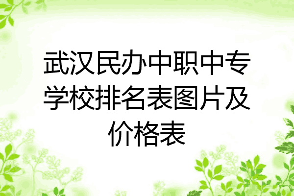 武汉民办中职中专学校排名表图片及价格表