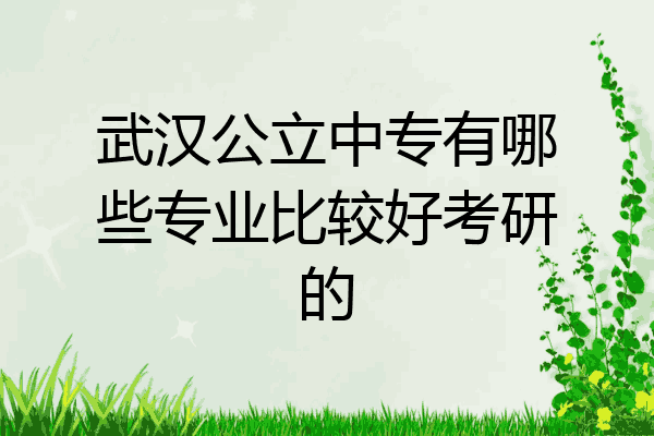 武汉公立中专有哪些专业比较好考研的