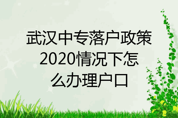 武汉中专落户政策2020情况下怎么办理户口