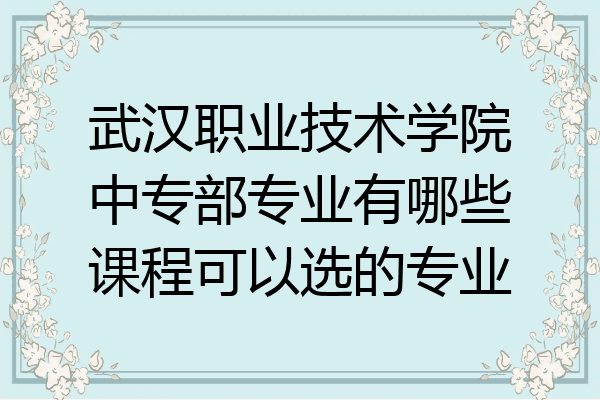 武汉职业技术学院中专部专业有哪些课程可以选的专业