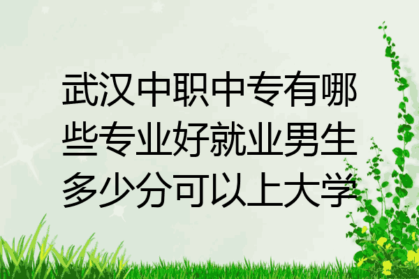 武汉中职中专有哪些专业好就业男生多少分可以上大学