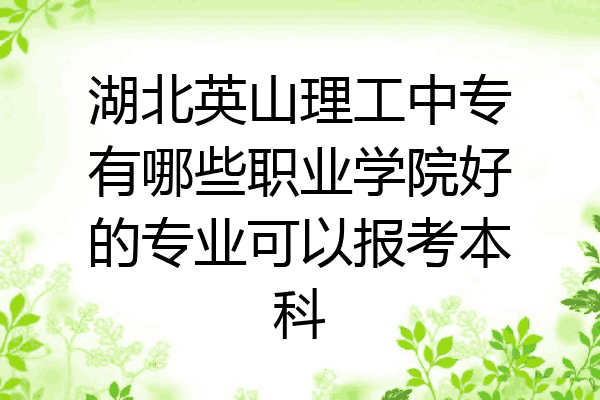 湖北英山理工中专有哪些职业学院好的专业可以报考本科