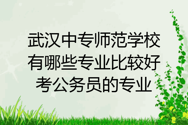 武汉中专师范学校有哪些专业比较好考公务员的专业