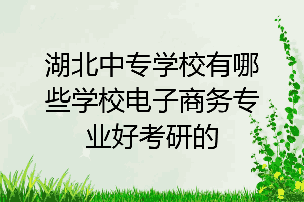 湖北中专学校有哪些学校电子商务专业好考研的
